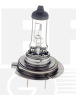 Hella H7 Halogen Globe - 24V 70W (CA2470)