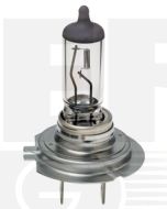 Hella H7 Premium Long Life Halogen Globe - Plus 100 (CA2470LTS)